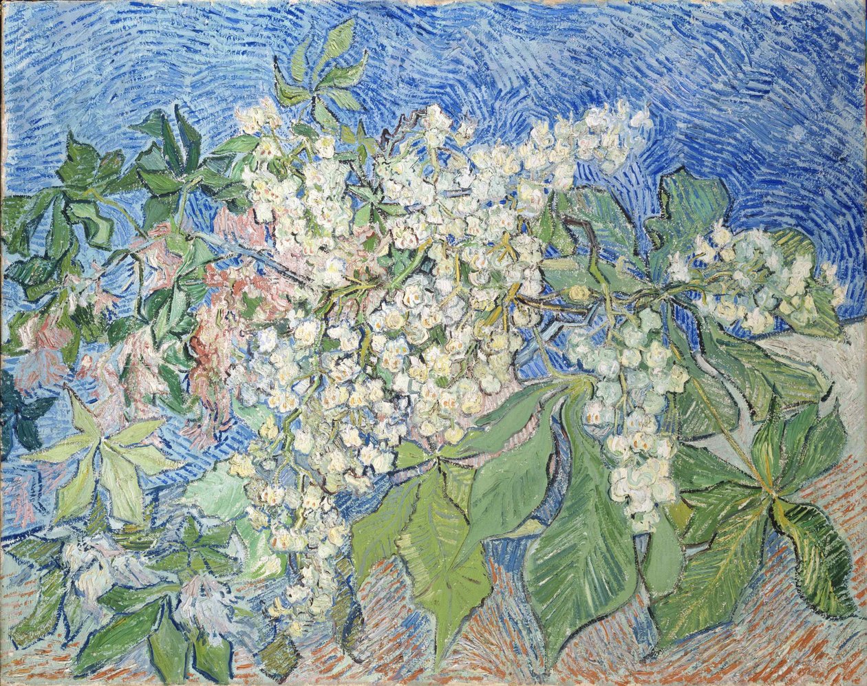 Grenar av kastanjeträd i blom, 1890. av Vincent van Gogh
