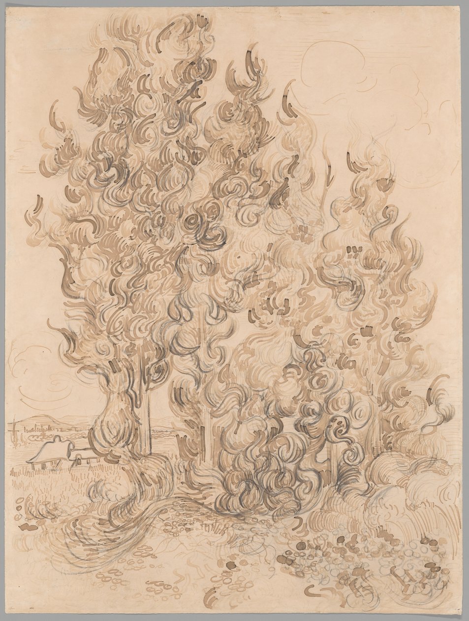 Cypresser av Vincent van Gogh
