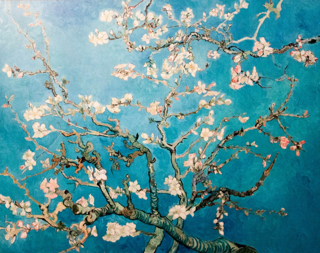 Holländska: Amandelbloesem Blomning Mandel Kvist Träd av Vincent van Gogh