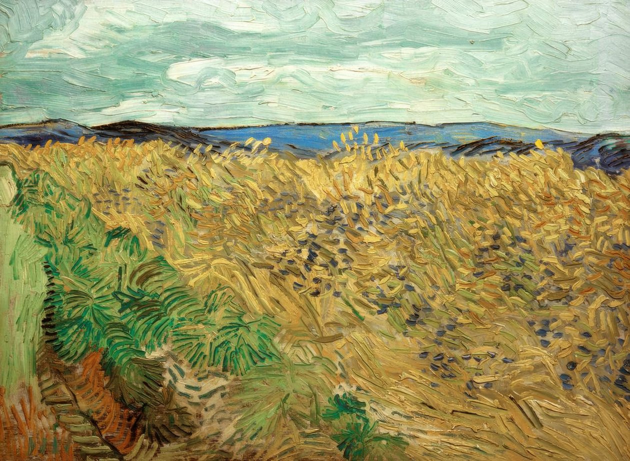 Fält med blåklint av Vincent van Gogh