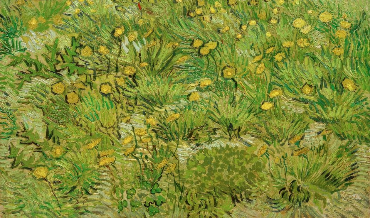 Maskrosor av Vincent van Gogh