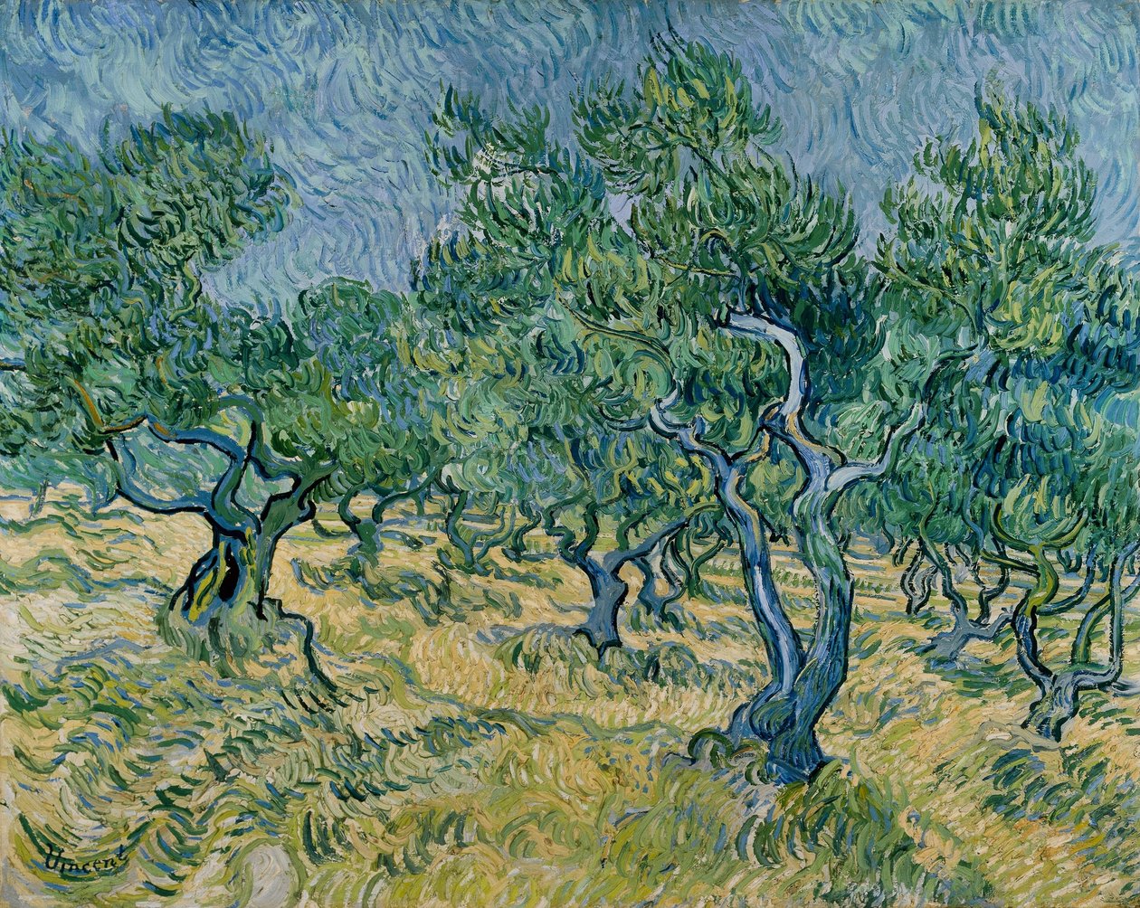 Olivlund av Vincent van Gogh