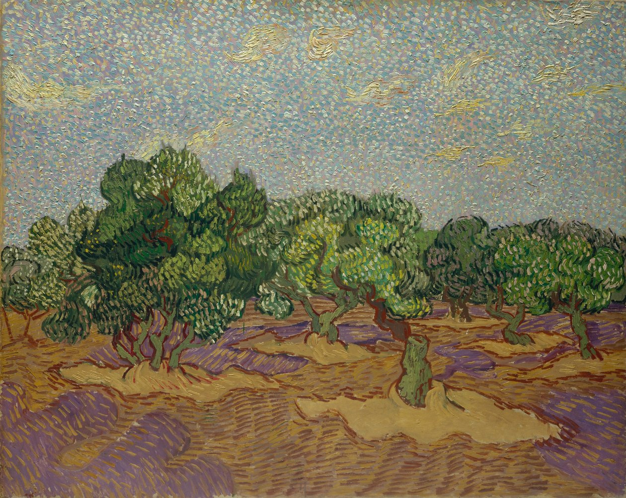 Olivträd, 1889. av Vincent van Gogh