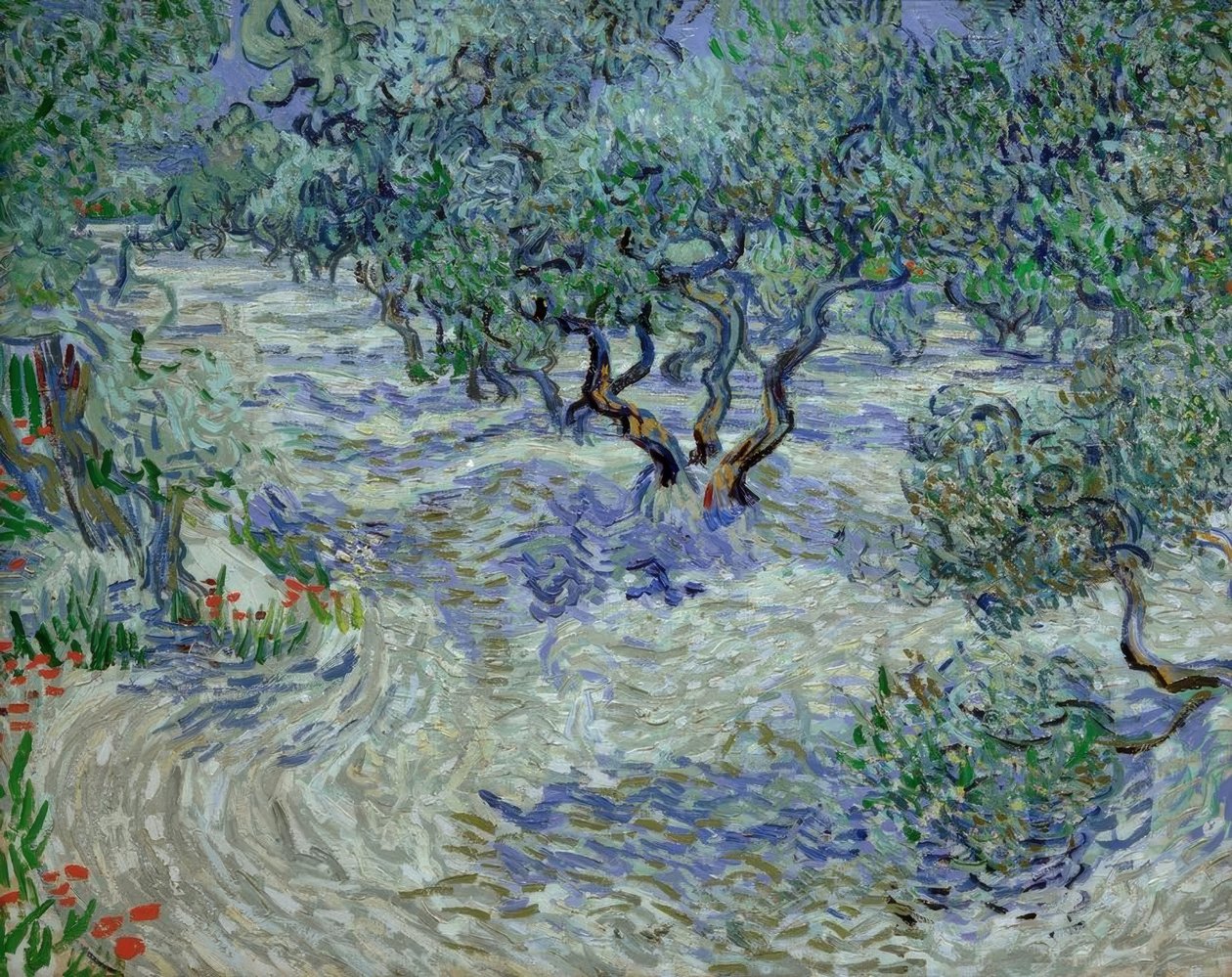 Olivlund av Vincent van Gogh