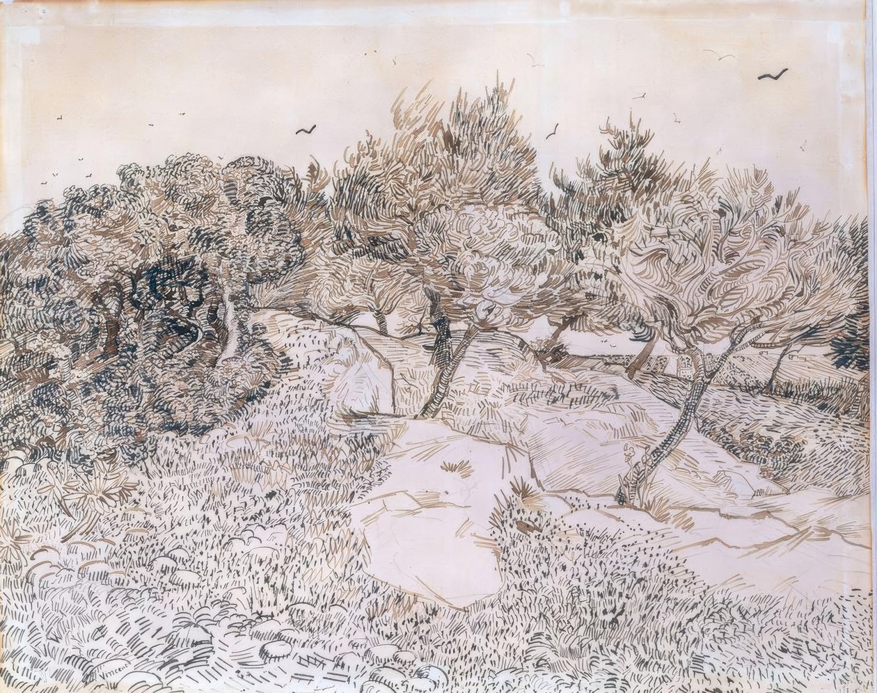 Olivträd i Montmajour av Vincent van Gogh
