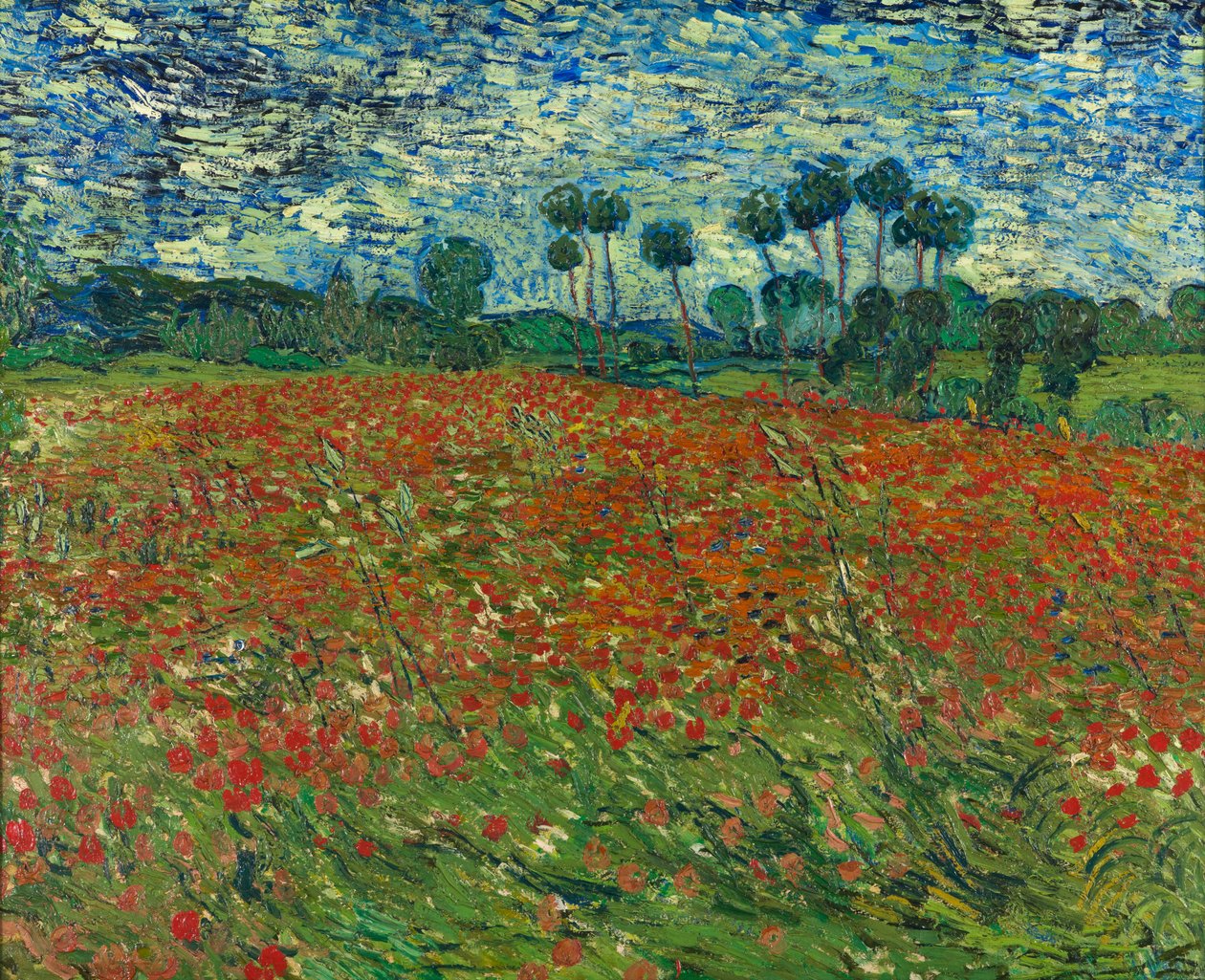 Vallmo fält av Vincent van Gogh