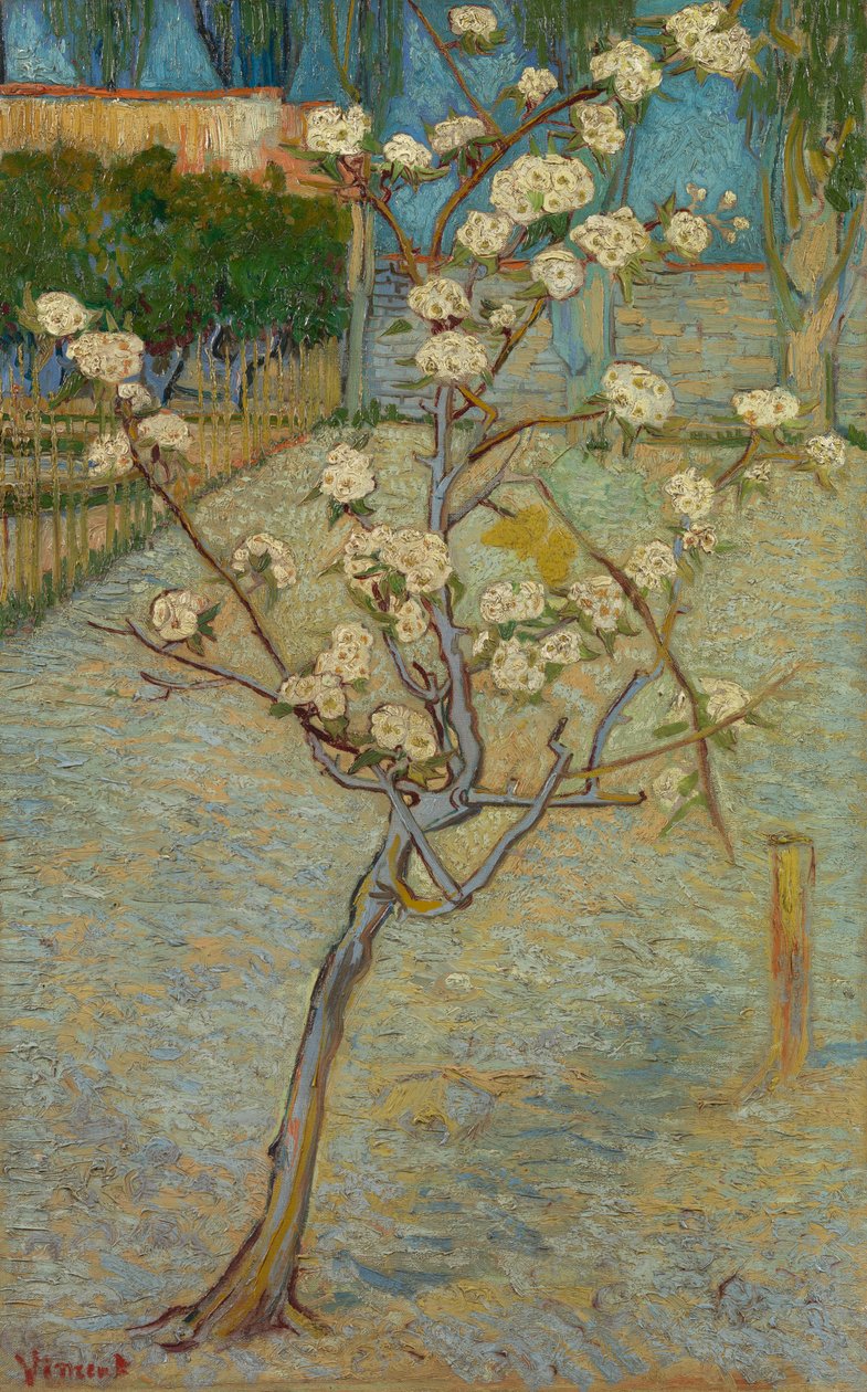 Litet päronträd i blom av Vincent van Gogh