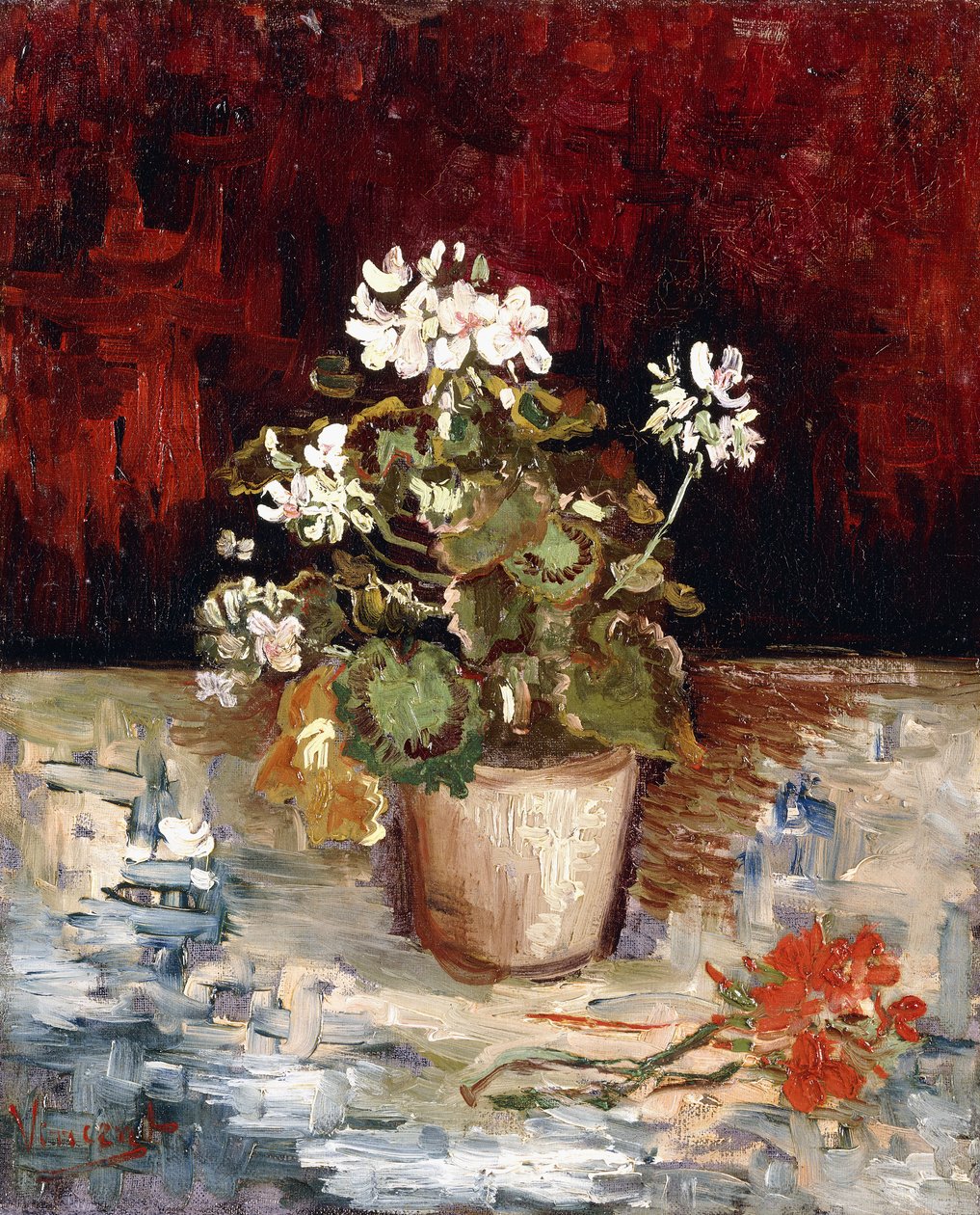 Stillebenskruka med pelargoner, 1886 av Vincent van Gogh