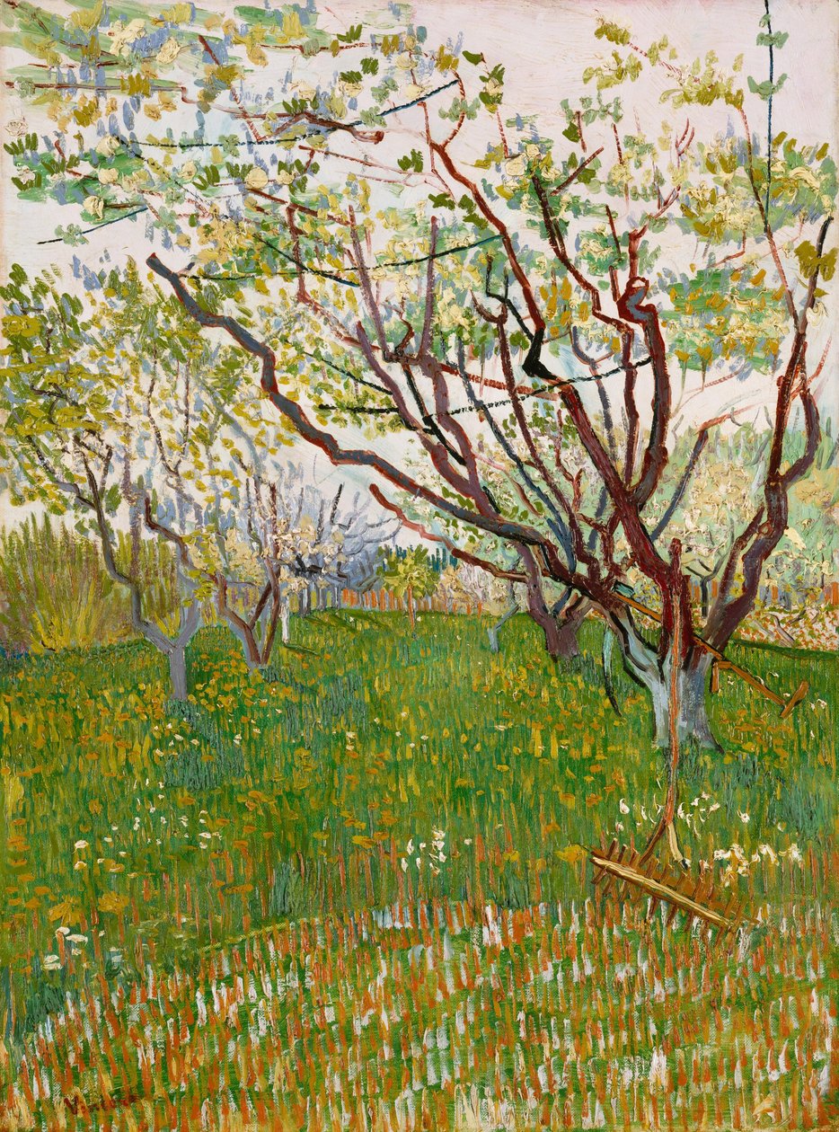 Den blommande fruktträdgården av Vincent van Gogh