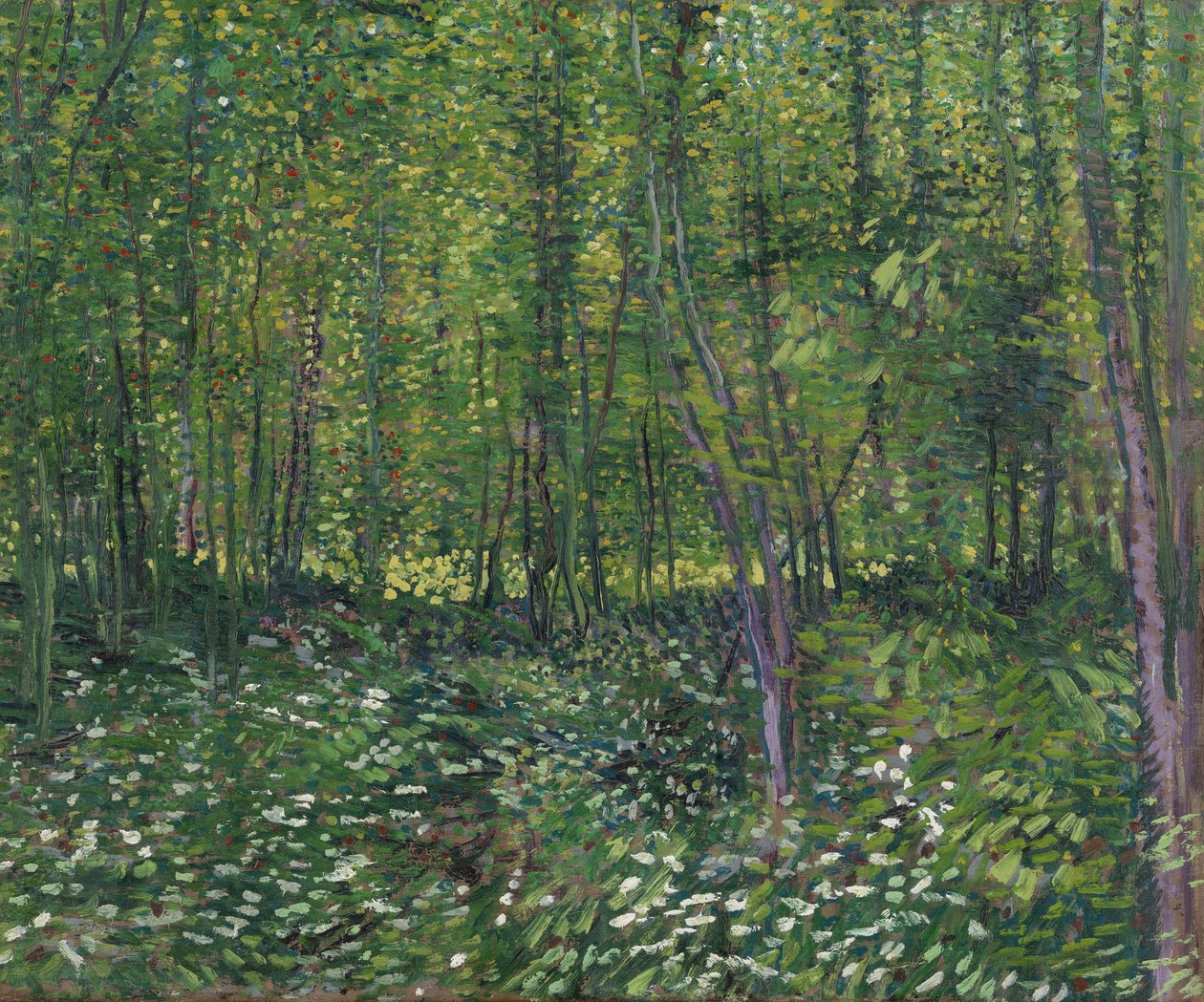 Träd och underskog, 1887 av Vincent van Gogh