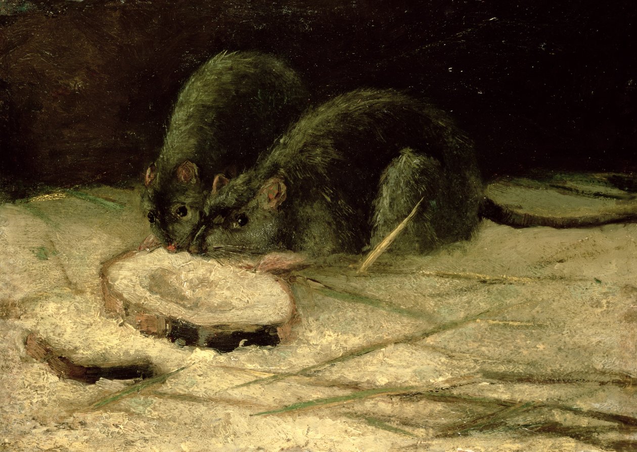Två råttor, ca 1884 av Vincent van Gogh