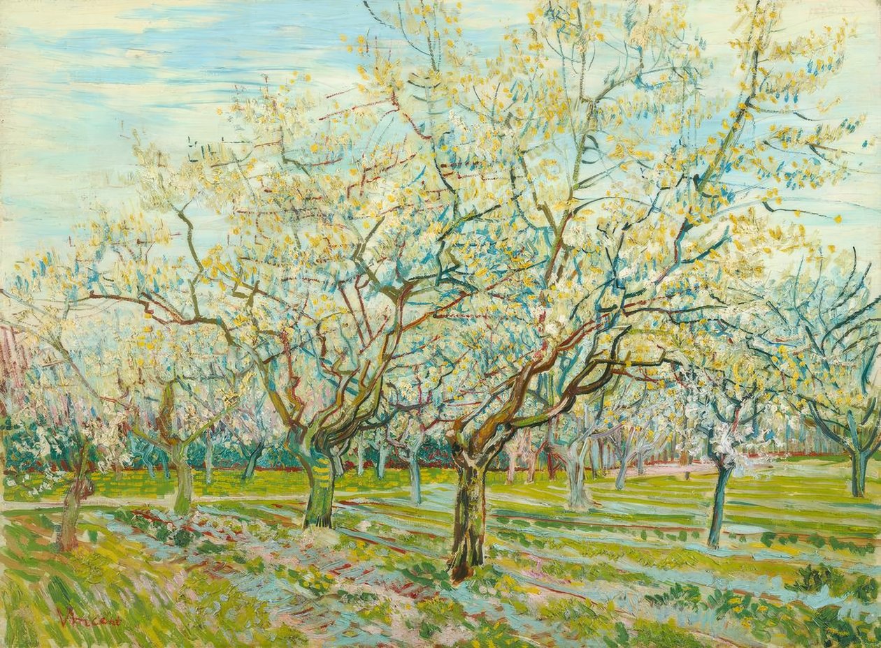 V. van Gogh, Den vita fruktträdgården av Vincent van Gogh