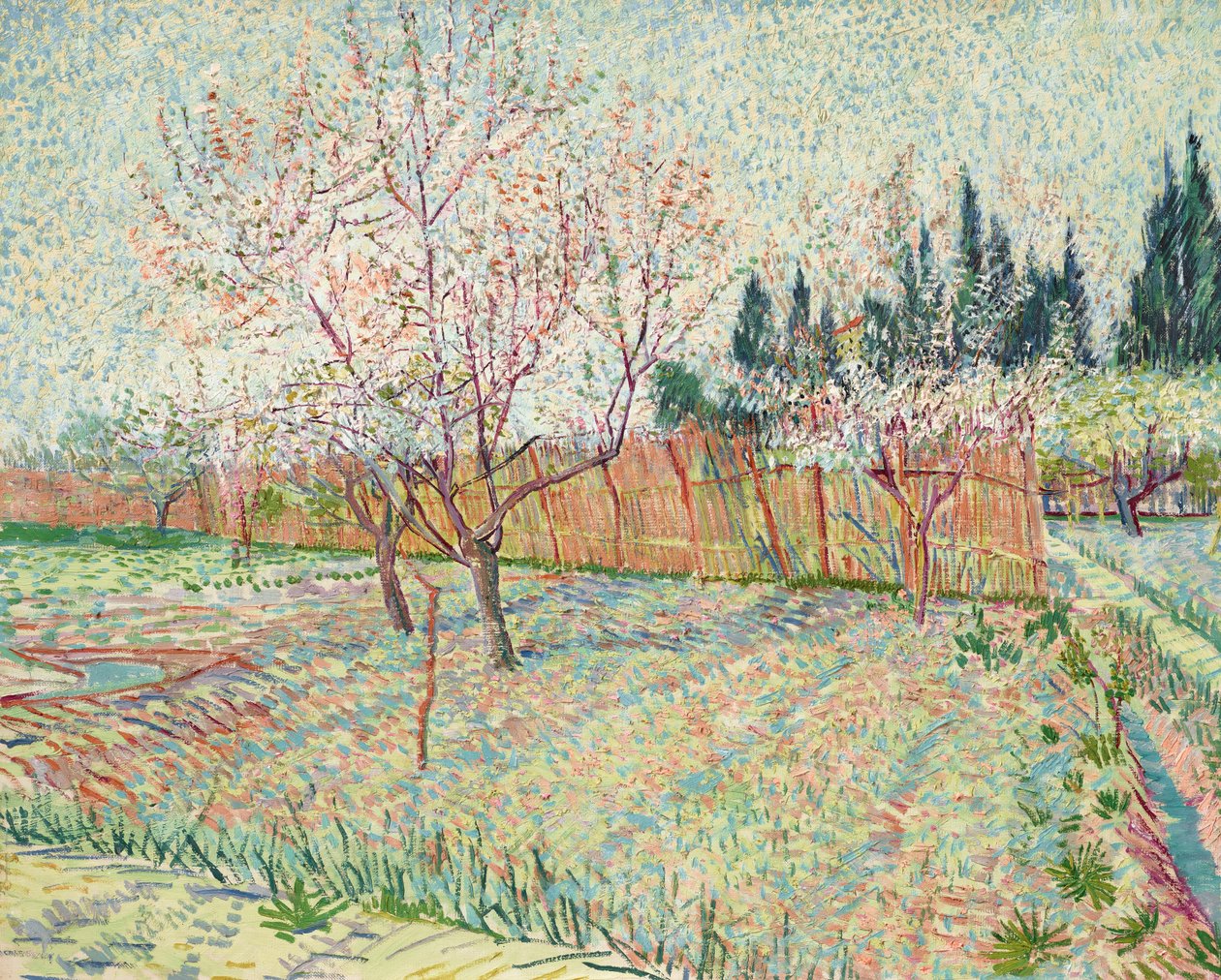 Fruktträdgård med cypresser av Vincent van Gogh