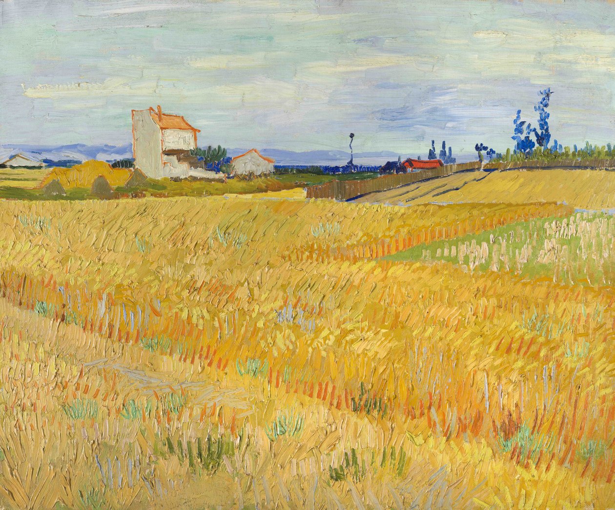 Vetefält (Champs de blé) av Vincent van Gogh