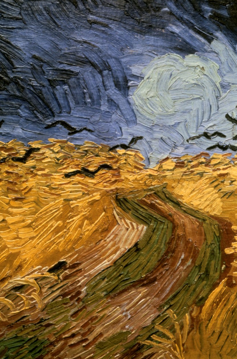 Vetefält med kråkor, detalj 1890. av Vincent van Gogh