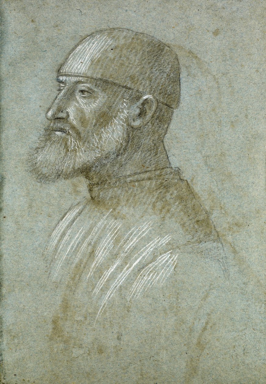 Huvud för skäggig man som bär keps, i profil till vänster av Vittore Carpaccio