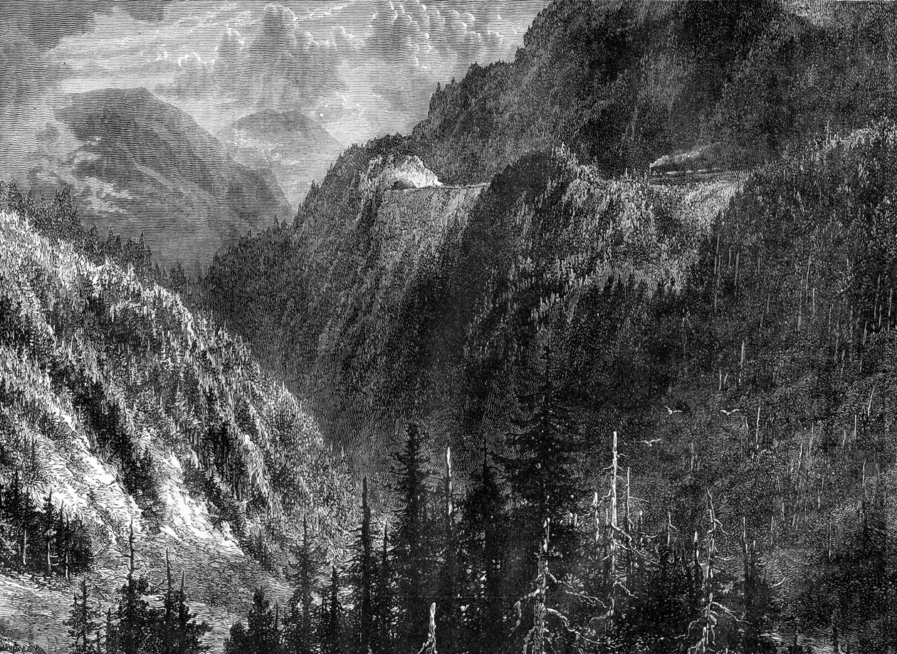 Schwarzwald, Tyskland, 1800-talet av WHJ Pool
