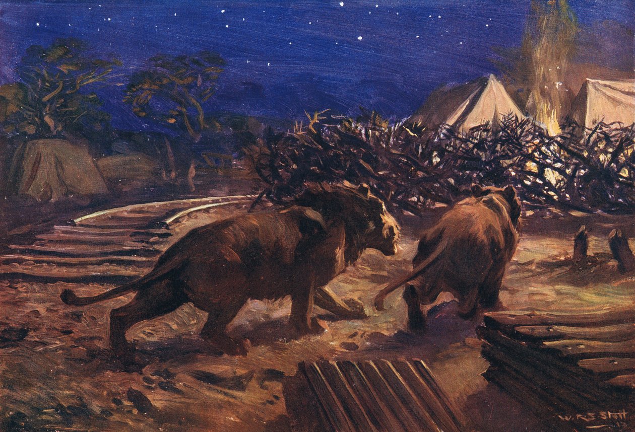 Järnvägsarbetarens fiende av W.R.S. Stott