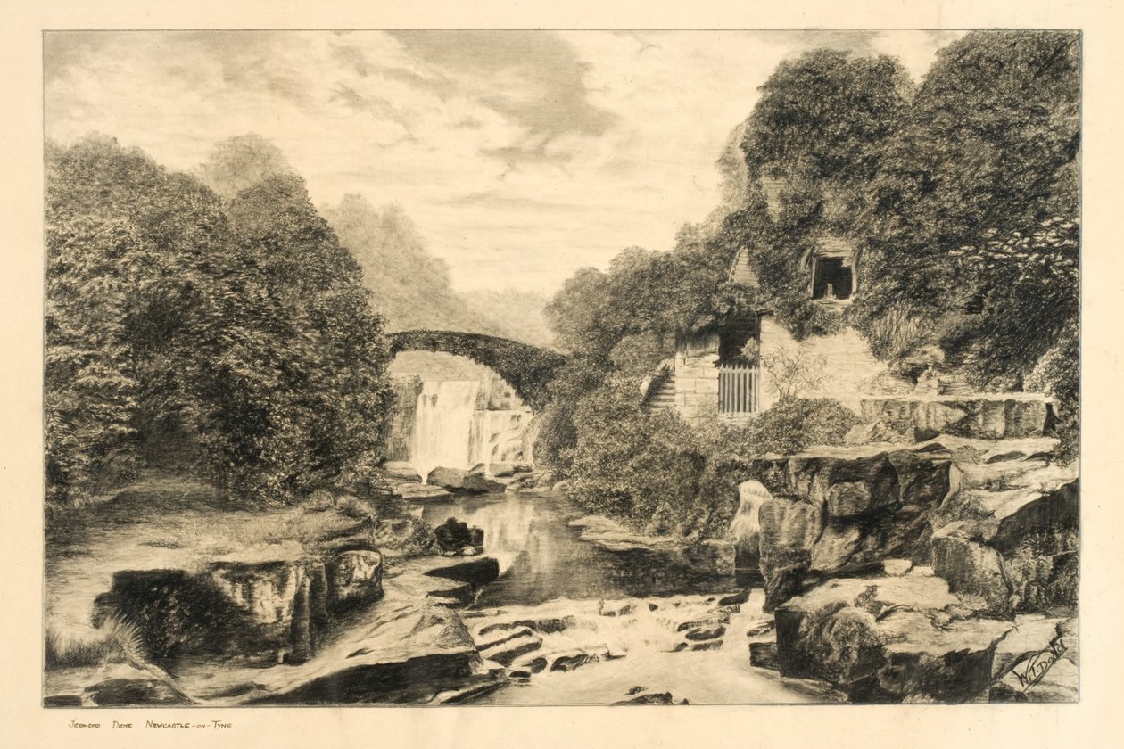 Jesmond Dene (krita och penna på papper) av W.T. Dodd