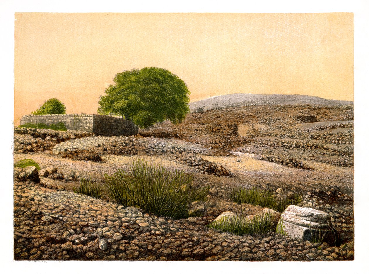 Shiloh, c1870. av W. Dickens