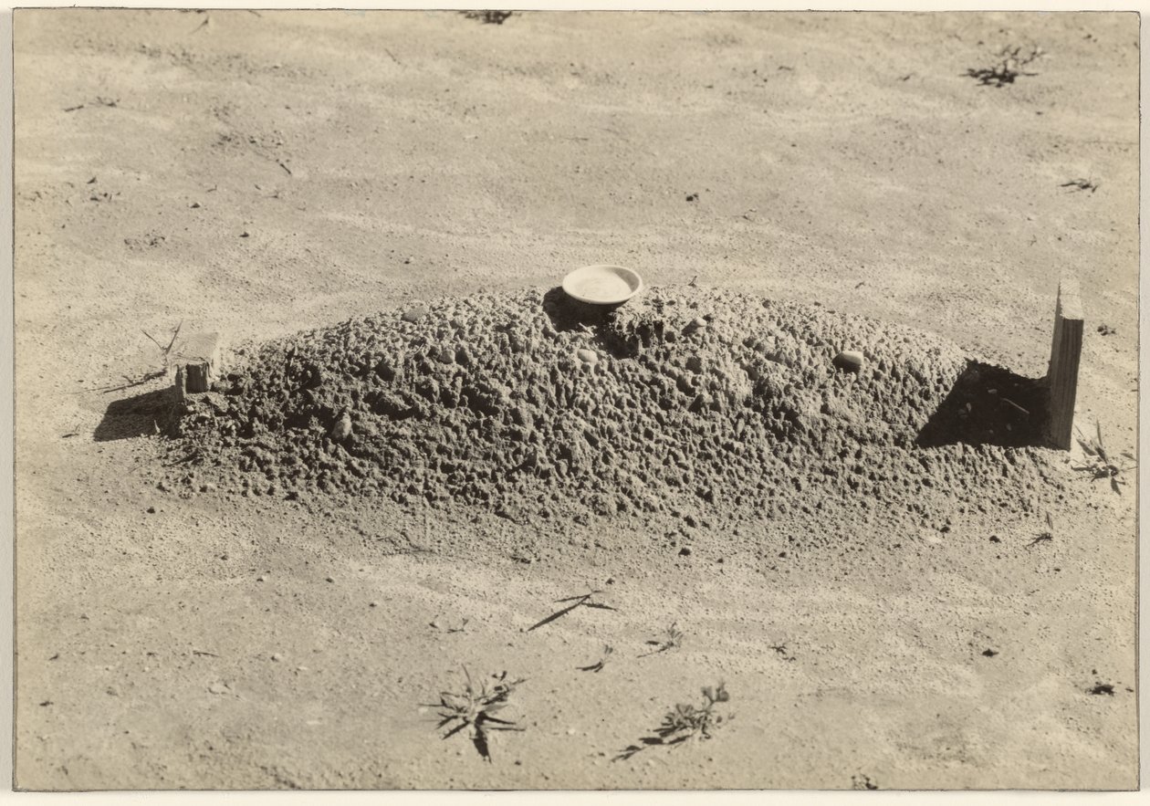 En baptistgrav, Hale County, Alabama av Walker Evans