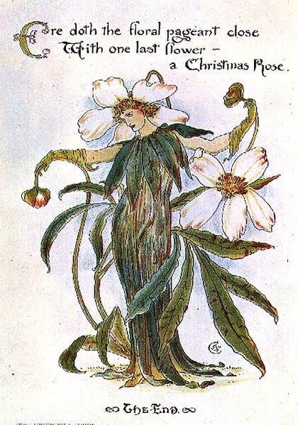 Illustration som visar en älva som en julros av Walter Crane
