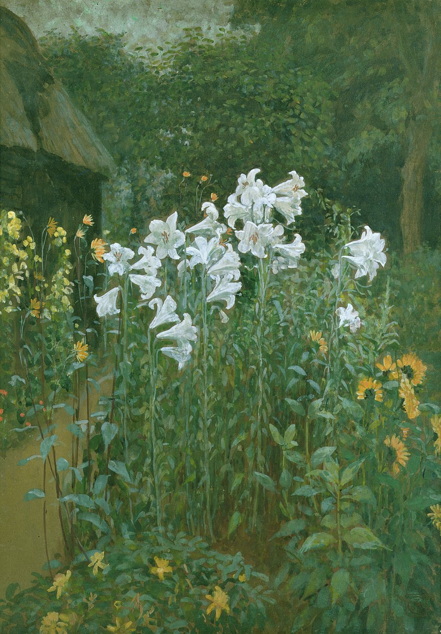 Madonnaliljor i en trädgård av Walter Crane