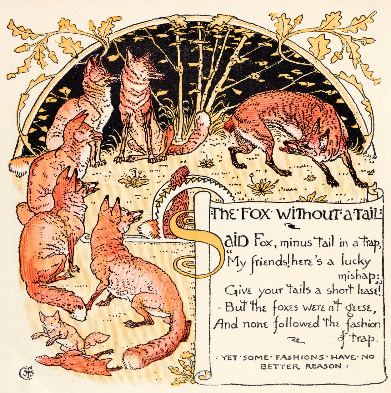 Räven utan svans, illustration från 