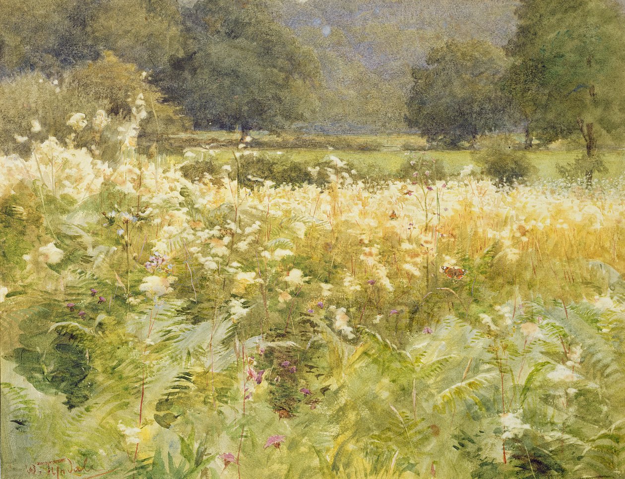 swed av Walter Frederick Roofe Tyndale