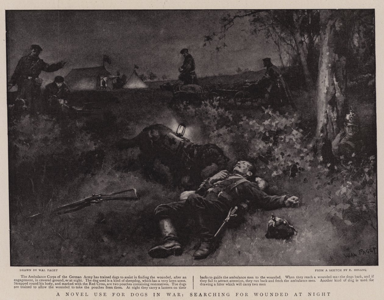 A Novel Use for Dogs in War, söker efter Wounded at Night av Walter Stanley Paget