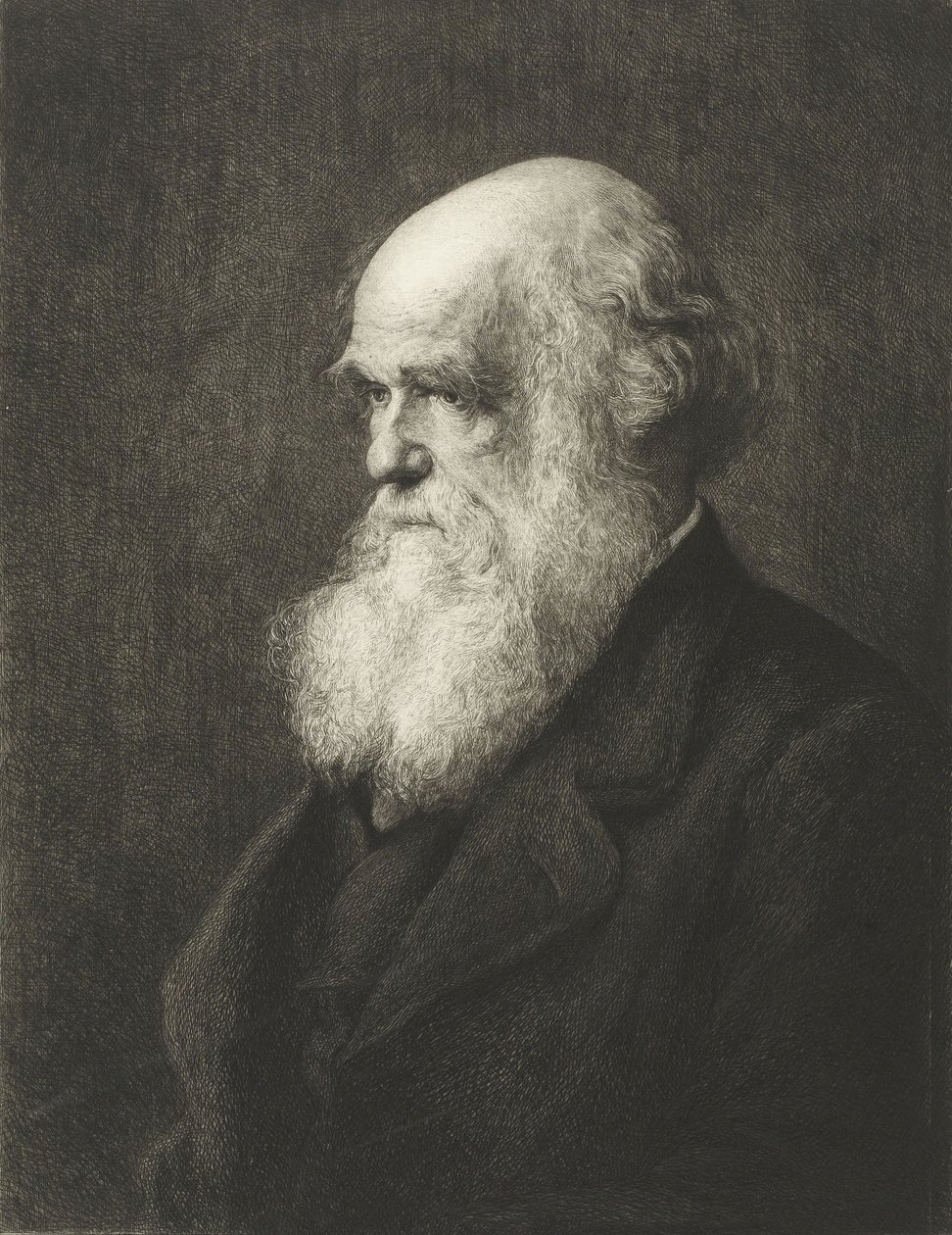 Charles Robert Darwin (gravyr) av Walter William (after) Ouless