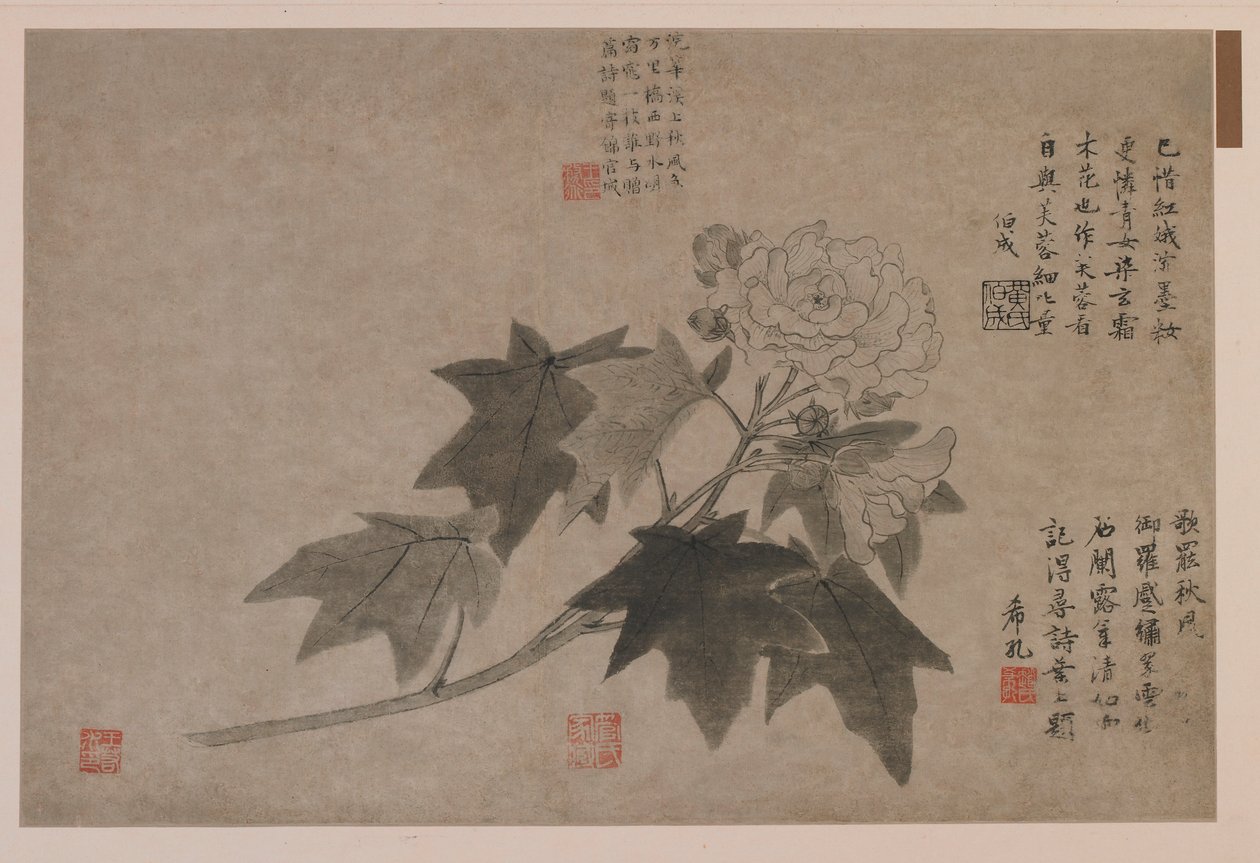 Hibiscus, 1347. av Wang Yuan