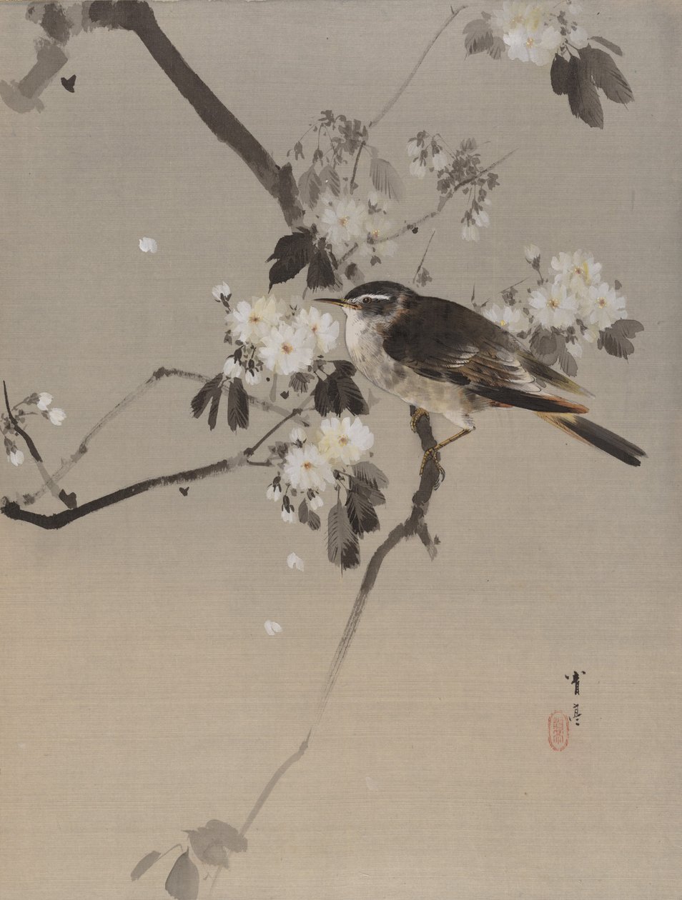 Fåglar på en blommande gren, ca. 1887. av Watanabe Seitei