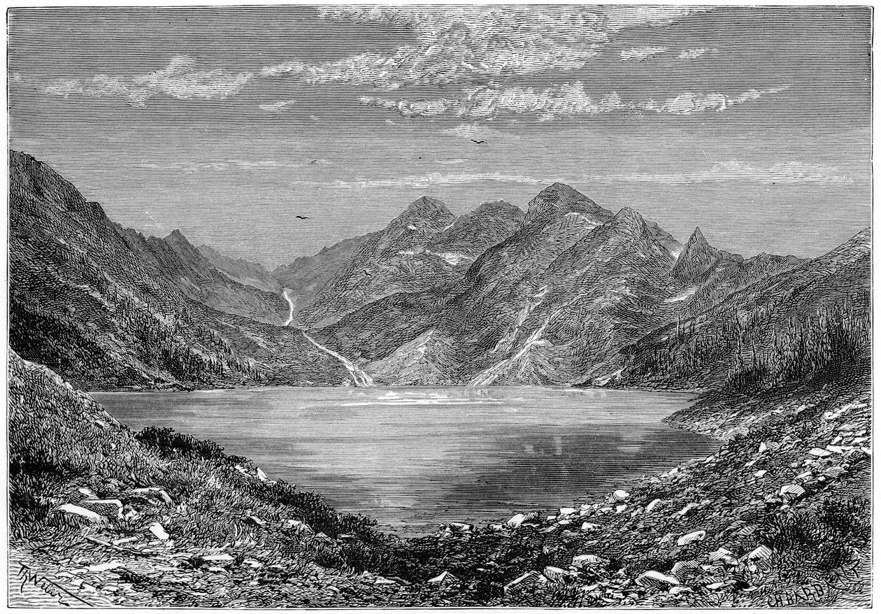"Fisksjön, Schweiz", 1879 av Weber