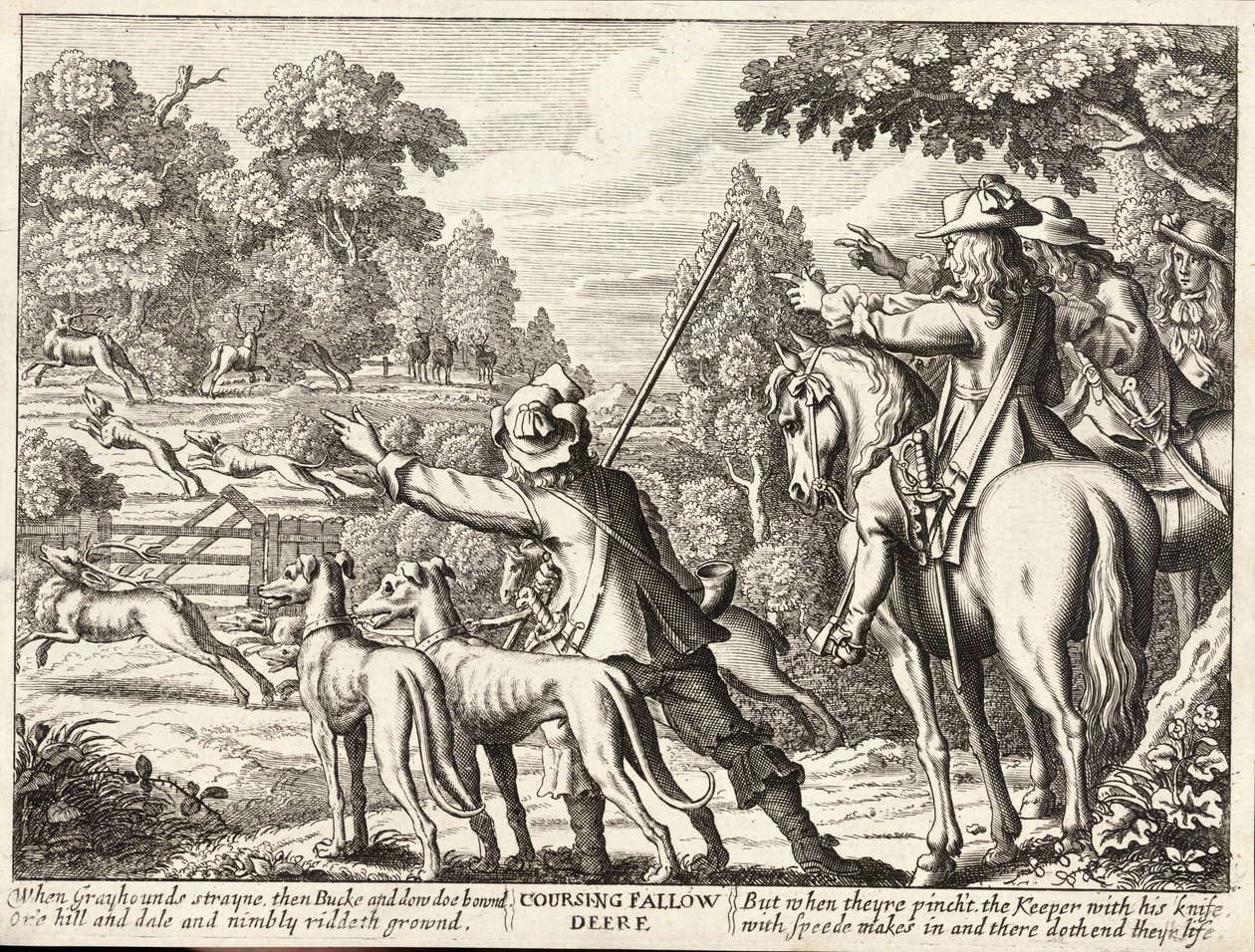 Coursing fallow deer av Wenceslaus Hollar