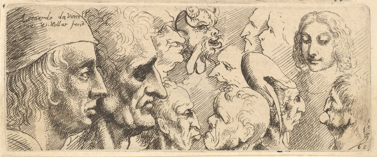 En mängd olika huvuden, 1625-77. av Wenceslaus Hollar
