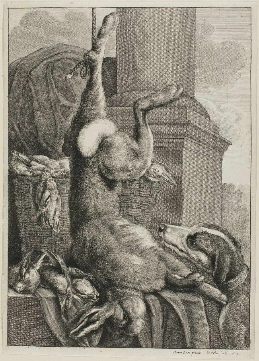 Död Hare av Wenceslaus Hollar