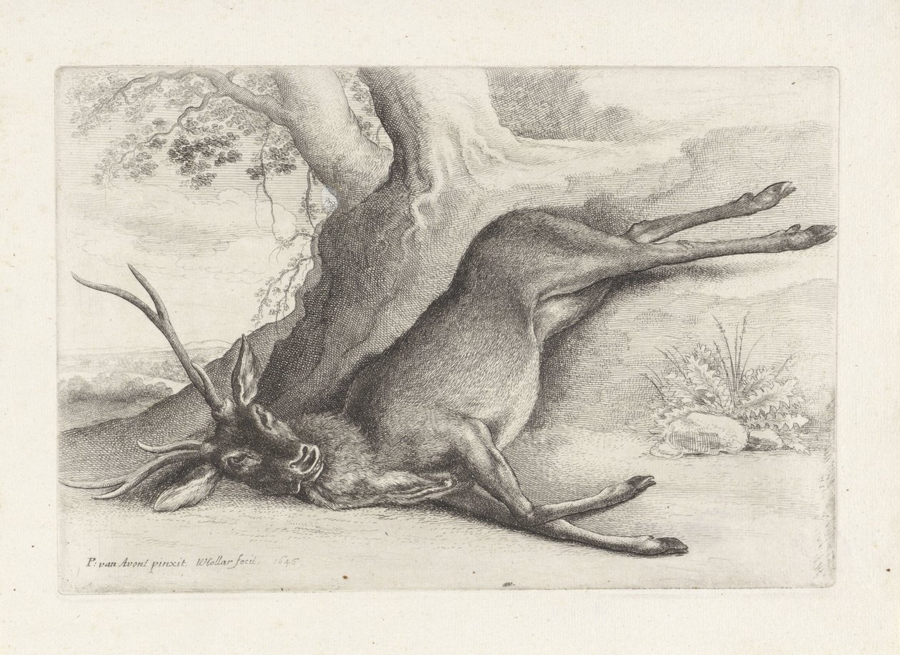 Skjut rådjur Jakt, jakthundar och vilt (serietitel) av Wenceslaus Hollar