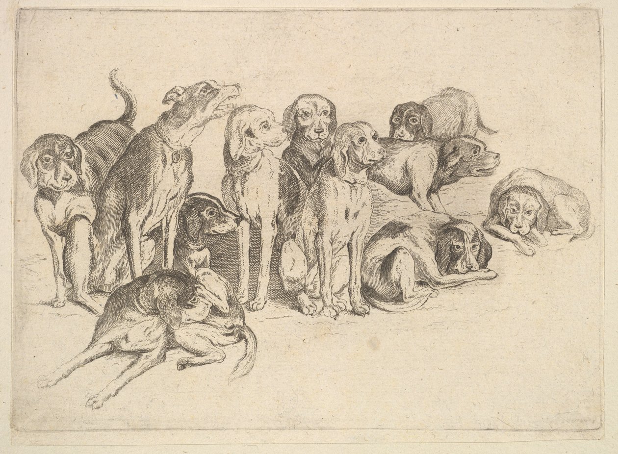 Elva hundar, 1625-77. av Wenceslaus Hollar