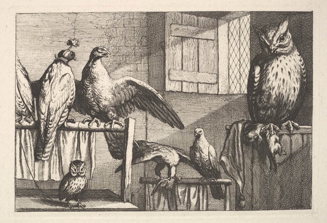 Hökar och ugglor, 1625-77. av Wenceslaus Hollar