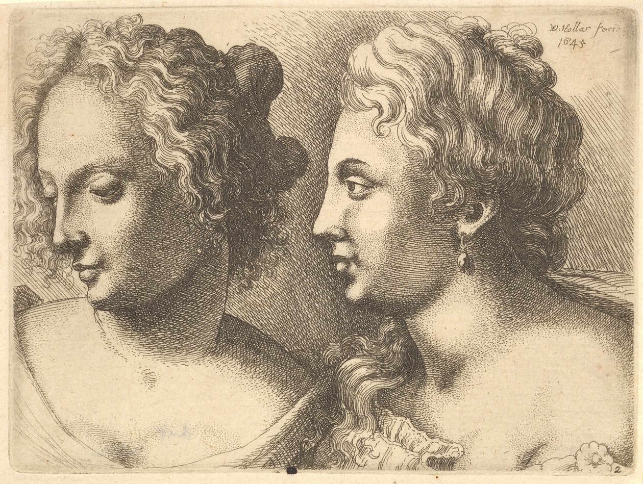 Chefer för två unga kvinnor, 1645. av Wenceslaus Hollar