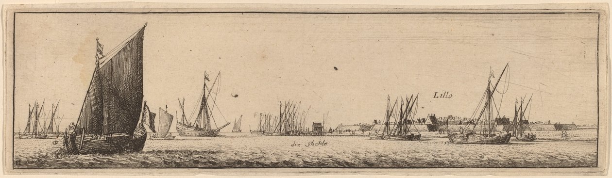 Lillo, c. 1632. av Wenceslaus Hollar