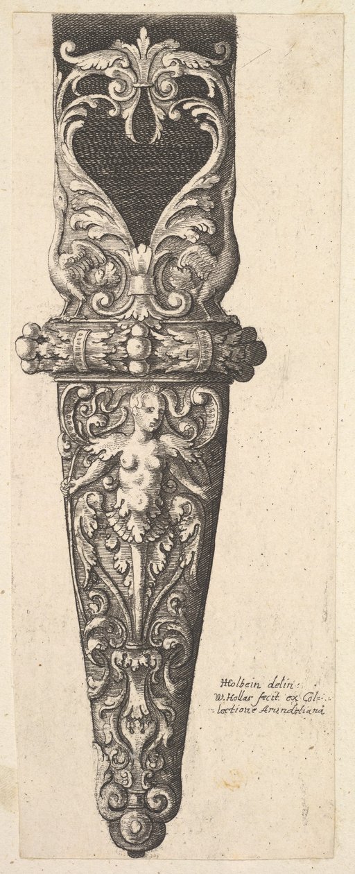 Nedre delen av en skida, 1625-77. av Wenceslaus Hollar