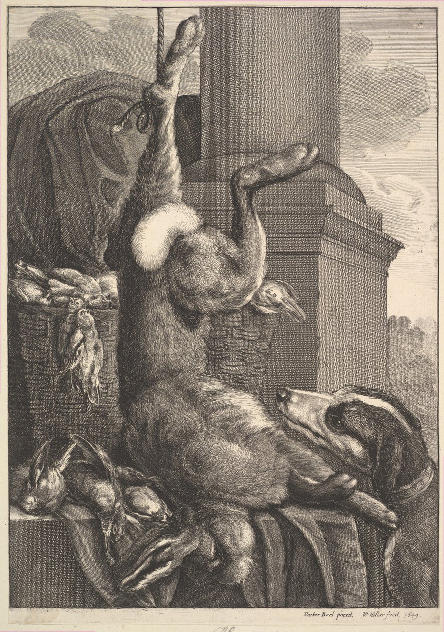 Den döda haren, 1649. av Wenceslaus Hollar