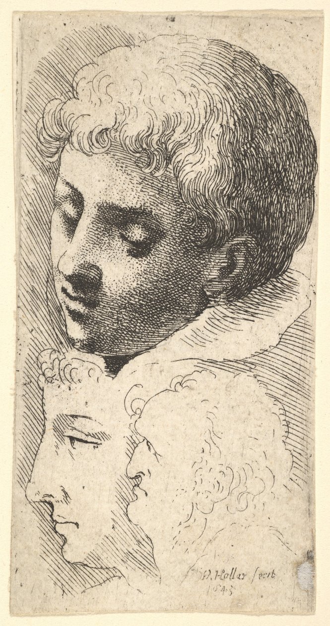 Tre huvuden, 1645. av Wenceslaus Hollar
