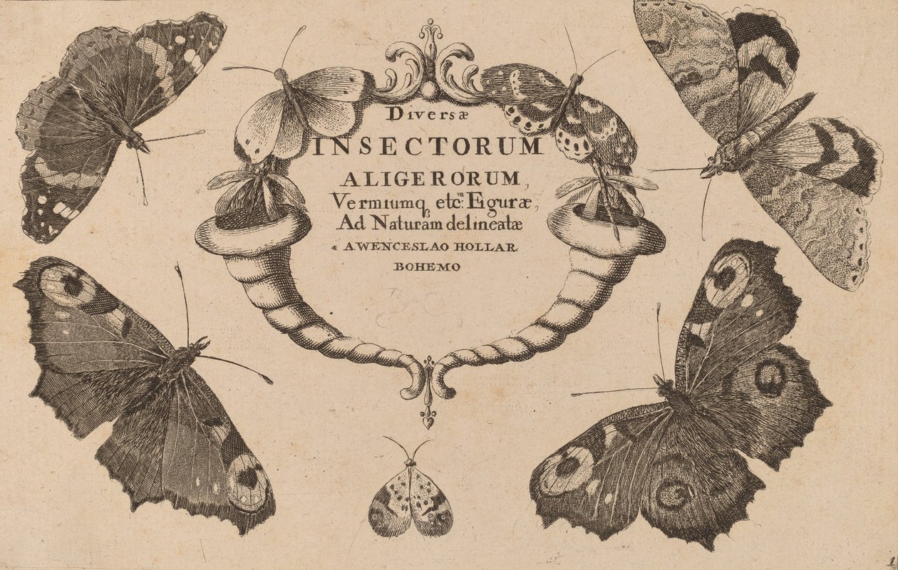 Titelsida. av Wenceslaus Hollar