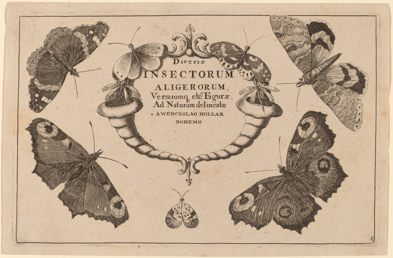 Titelsida av Wenceslaus Hollar