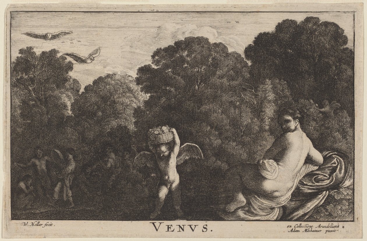 Venus av Wenceslaus Hollar