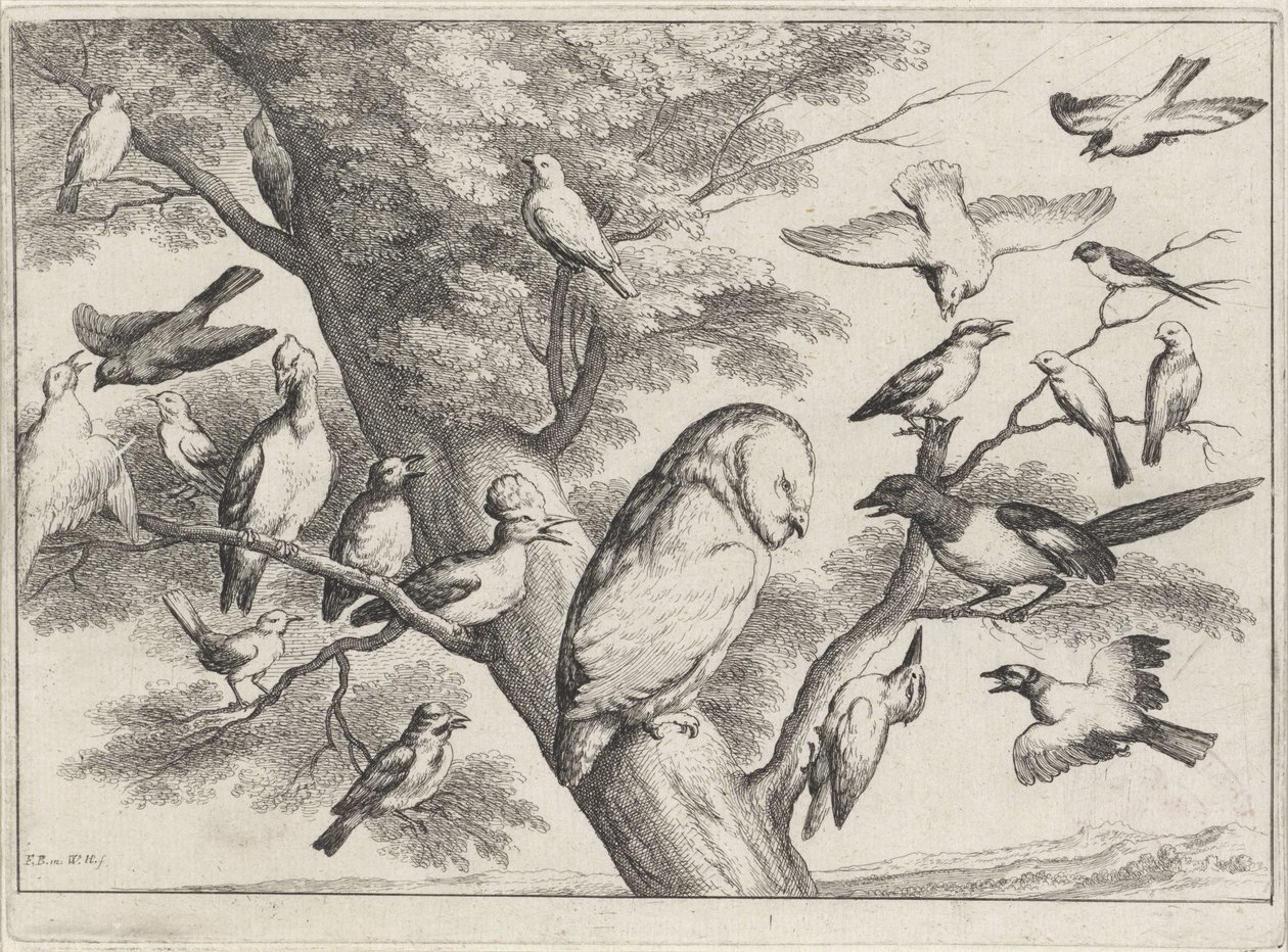 Fåglar i ett träd Olika fåglar (serietitel) av Wenceslaus Hollar