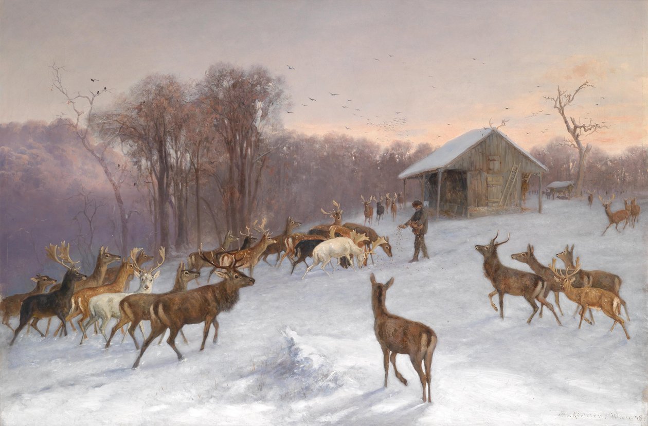 Matar dovhjortar och kronhjortar på vintern av Wilhelm Richter